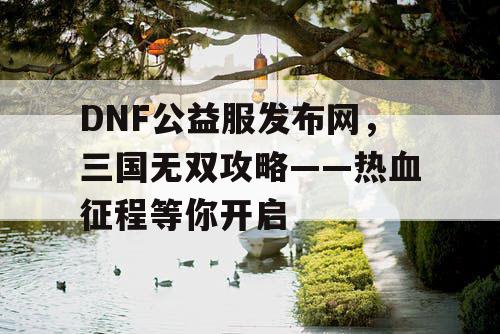 DNF公益服发布网，三国无双攻略——热血征程等你开启