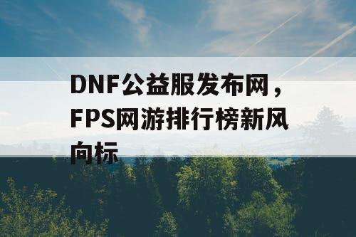 DNF公益服发布网，FPS网游排行榜新风向标