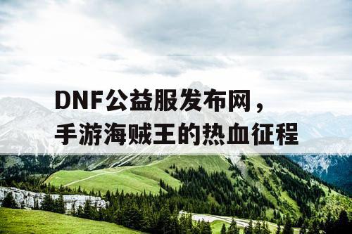 DNF公益服发布网，手游海贼王的热血征程