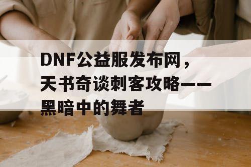 DNF公益服发布网，天书奇谈刺客攻略——黑暗中的舞者