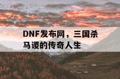 DNF发布网，三国杀马谡的传奇人生