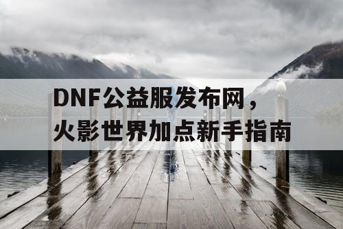 DNF公益服发布网，火影世界加点新手指南