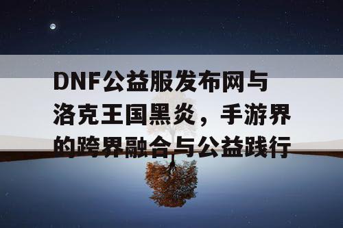 DNF公益服发布网与洛克王国黑炎，手游界的跨界融合与公益践行