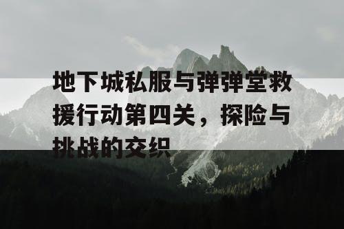 地下城私服与弹弹堂救援行动第四关，探险与挑战的交织