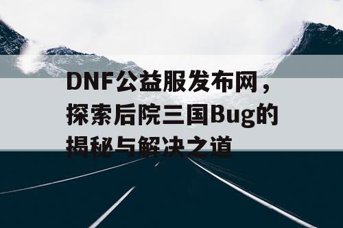 DNF公益服发布网，探索后院三国Bug的揭秘与解决之道