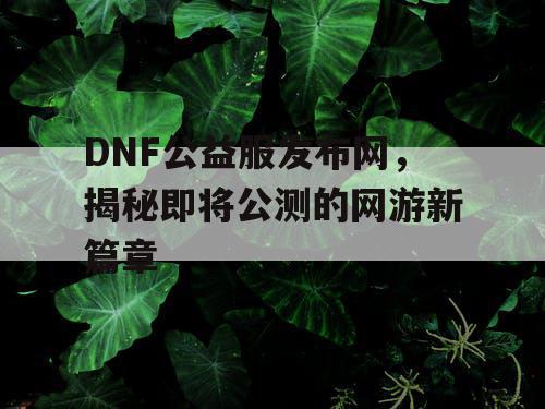 DNF公益服发布网，揭秘即将公测的网游新篇章