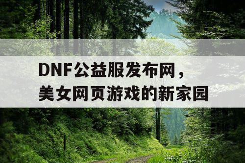 DNF公益服发布网，美女网页游戏的新家园