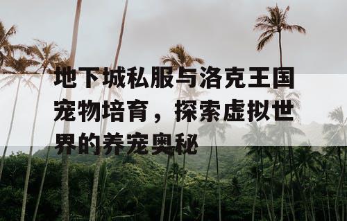 地下城私服与洛克王国宠物培育，探索虚拟世界的养宠奥秘